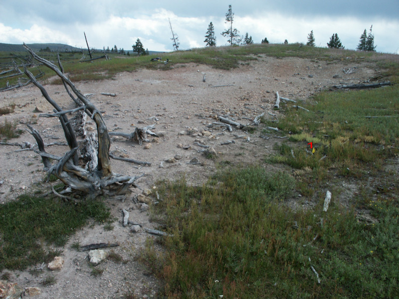 walking-shadow-ecology-yellowstone-national-park-mike-tercek